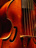 Stringed Instrument in Museum, Brussels, Belgium Fotografie-Druck von Jean-Bernard Carillet