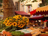 Sunflowers on Market Stall, Aix-En-Provence, France Photographie par Diana Mayfield