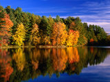 Autumn Trees in New Hampshire, New Hampshire, USA Photographie par Carol Polich