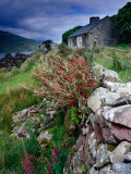 Abandoned Cottage on the Famine Relief Road in Killary Harbour, Connemara, Connaught, Ireland Photographie par Gareth McCormack