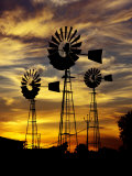 Windmills at Sunset in Penong, Australia Photographie par Richard I'Anson