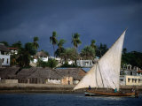 Traditional Dhow Sailing Past Town, Lamu, Coast, Kenya Fotografie-Druck von Ariadne Van Zandbergen