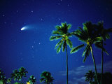 Comet Hale-Bopp with Palm Trees, Kaanapali, Hawaii, USA Photographic Print by Karl Lehmann