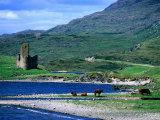 Ardvreck Castle on Loch Assynt, Assynt, Scotland Photographie par Grant Dixon