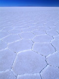 Polygonal Patterns on Salt Flats, Salar De Uyuni, Potosi, Potosi, Bolivia Photographie par Grant Dixon