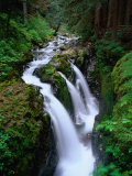 Sol Duc Falls Olympic National Park, Washington, USA Fotografisk trykk av Rob Blakers Sol Duc Falls Olympic National Park, Washington, USA Fotografisk trykk av Rob Blakers