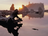 Drift Logs and Sea Stacks at Dusk, Olympic National Park, USA Photographic Print by Nicholas Pavloff