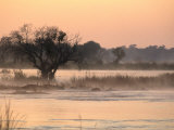 Early Morning Mist Rises off the Zambezi River, Zambezi National Park, Matabeleland North, Zimbabwe Fotografie-Druck von Ariadne Van Zandbergen