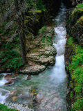 Overhead of Sunrift Gorge, Glacier National Park, USA Photographic Print by Carol Polich