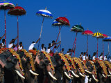 Men Riding Decorated Elephants at Annual Pooram Festival, Thrissur, India Photographic Print by Paul Beinssen