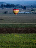 Hot Air Ballooning Over Fields, Napa Valley, USA Lámina fotográfica por Lee Foster Hot Air Ballooning Over Fields, Napa Valley, USA Lámina fotográfica por Lee Foster