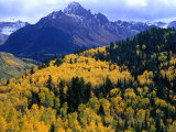 Forest with Mountain in Distance Mt. Sneffels Wilderness Area, South Carolina, USA Photographic Print by Rob Blakers