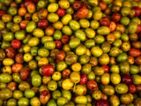 Olives from a Stall in the Central Market, Athens, Athens, Attica, Greece Photographic Print by Neil Setchfield