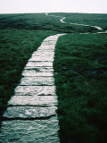 Path of Slate Over Featherbed Moss, Part of Pennine Way Walking Trail, Derbyshire, England Photographic Print by Tony Wheeler