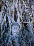 Buddha Statue in Tree at Ayuthaya Historical Park, Ayuthaya Historical Park, Thailand Photographie par Ryan Fox