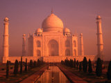 Taj Mahal Glows at Sunrise, Agra, Uttar Pradesh, India Photographic Print by Dallas Stribley