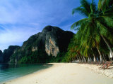 Palm Lined Beach and Limestone Cliffs at Ton Sai Beach, Ko Phi-Phi Don, Krabi, Thailand Photographic Print by Anders Blomqvist