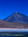 Flamingos Beneath Licancabur Volcano, Lake Blanca, Bolivia Photographie par Woods Wheatcroft