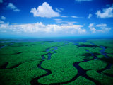 Aerial View of Wetlands, Everglades National Park, USA Photographie par Jim Wark