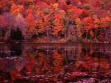 Fall Colours Reflected in the River, Vermont, USA Lámina fotográfica por Mark Newman Fall Colours Reflected in the River, Vermont, USA Lámina fotográfica por Mark Newman