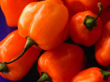 Red Peppers, Australia Photographic Print by John Hay