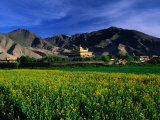 Samye Monastery Across Field, Samye Monastery, Tibet Photographic Print by Grant Dixon