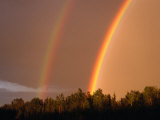 Rainbows Over Trees, USA Photographic Print by Kraig Lieb