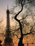 Sunset Over the Jardin Des Tuileries and Eiffel Tower, Paris, Ile-De-France, France Photographic Print by Martin Moos