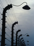 Barbed Wire Electric Fence at Auschwitz-Birkenau Concentration Camp, Oswiecim, Malopolskie, Poland Photographic Print by Krzysztof Dydynski