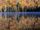 Trees at Autumn, Reflected in Heart Lake, Adirondak Mountains, New York, USA Photographie par Rob Blakers