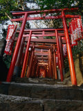 Red Torii of Hie-Jinja (Shrine), Akasaka, Tokyo, Japan Valokuvavedos tekijänä Martin Moos Red Torii of Hie-Jinja (Shrine), Akasaka, Tokyo, Japan Valokuvavedos tekijänä Martin Moos