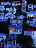 Houses on Hillside at Oriental Bay, Wellington, Wellington, New Zealand Fotografie-Druck von Paul Kennedy