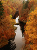 Autumn Foliage by Tummel River, Killiecrankie, United Kingdom Photographic Print by Bethune Carmichael