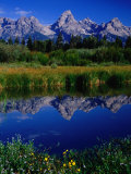 The Grand Tetons Reflected in Tarn, Grand Teton National Park, Wyoming, USA Photographie par Gareth McCormack