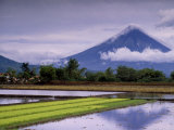 Mount Mayon Active Volcano Rising Above Rice Fields., Mt. Mayon, Albay, Philippines, Bicol Lámina fotográfica por John Pennock Mount Mayon Active Volcano Rising Above Rice Fields., Mt. Mayon, Albay, Philippines, Bicol Lámina fotográfica por John Pennock