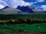 Ben Nevis and Pastoral Lands Near Gairloch, Scotland Photographie par Gareth McCormack