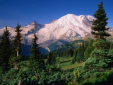 Mt. Rainier and Emmons Glacier from the Sunrise Area of Mt. Rainier National Park Photographic Print by John Elk III