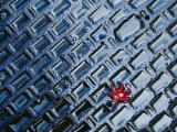 A Single Red Maple Leaf on a Steel Manhole Cover, Kyoto, Kinki, Japan, Photographic Print by Frank Carter