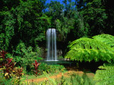 Millaa Millaa Falls, Atherton Tablelands, Australia Lámina fotográfica por John Banagan Millaa Millaa Falls, Atherton Tablelands, Australia Lámina fotográfica por John Banagan