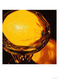 Lemons Giclee Print by Heather Ramsey
