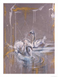 Swans I Giclee Print by Marta Gottfried