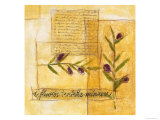 Olivese of Italy II reproduction procédé giclée par Heather Ramsey