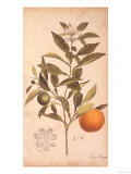 Untitled Giclee Print