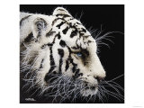 Tiger Giclee-trykk av Will Bullas