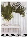 Coastal Living Giclee Print by Jennifer Lee