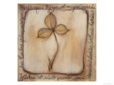 Petals of a Tree II reproduction procédé giclée par Heather Ramsey