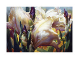 Iris Garden Giclee Print by Elizabeth Horning