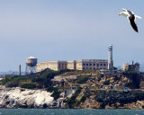 Alcatraz Federal Penitentiary Photo