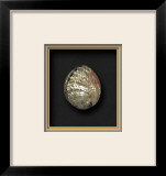 Polished Pink Abalone I Dimensional Product