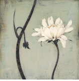 Ivory Blossom Poster af Ivo